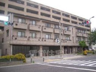 フジアビタの画像