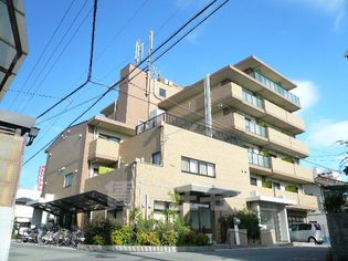 ラ・マルガリータの画像