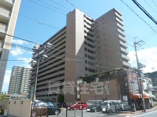 グレーシィ石山の画像