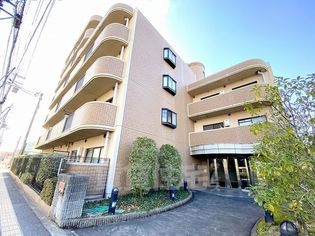 シャルマンシェソワの画像