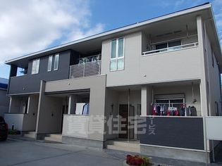 エヴァーグリーン2の画像