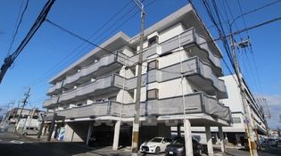 第ニグレース安田の画像