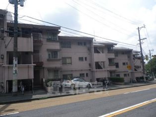 愛知県名古屋市千種区霞ケ丘2丁目の賃貸マンションの画像