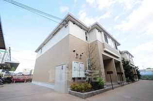 ステラスの画像