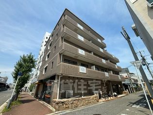 ウインザー皐月の画像