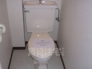 ブランドールフカイの画像