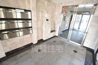 ブランドールフカイの画像