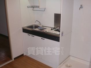 ブランドールフカイの画像