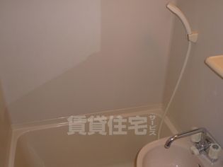 ブランドールフカイの画像