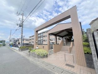 ビューフォートの画像