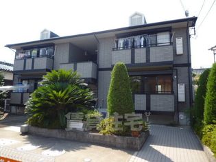 ソフィアの画像