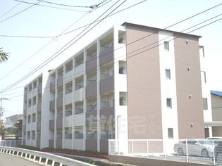 ルミナス都の画像