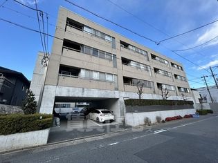 フローラル小桜の画像