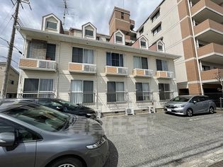 ステラパレスの画像