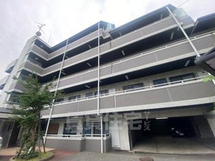 GRAND・M・YOUの画像