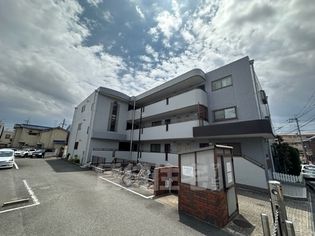 グレーシーよすみの画像