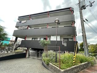 ルミエールの画像