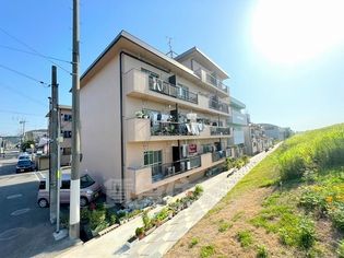 天美サンハイツN棟の画像