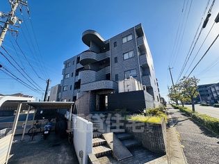アトラクティブS・T の画像