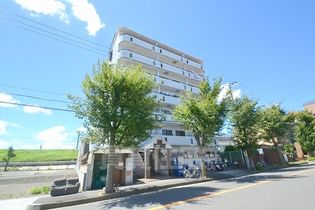 シエルスランの画像