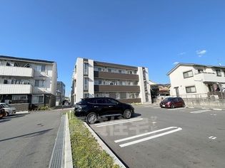 サザンクロスの画像