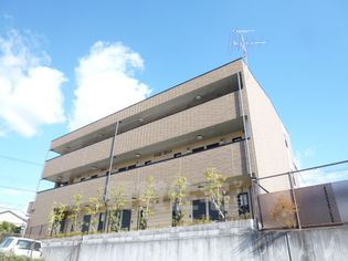 アンプルールクレールの画像