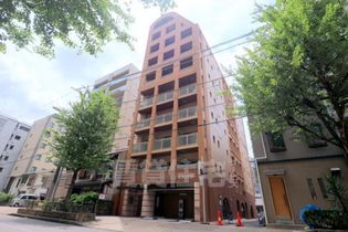 京都府京都市南区東九条西山王町の賃貸マンションの画像