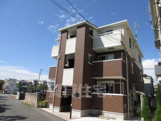 コモド カーサの画像