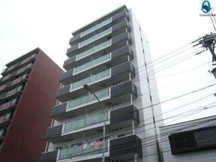 フローライト徳川の画像