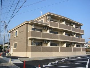 プルメリアの画像