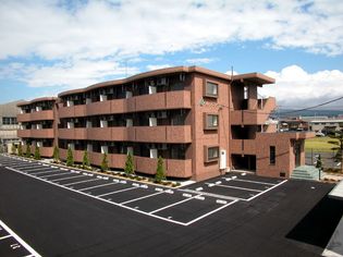 ベル・フラワーの画像