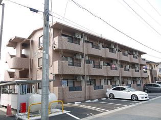 ハイブリッジの画像