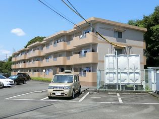 エタニティーIIの画像