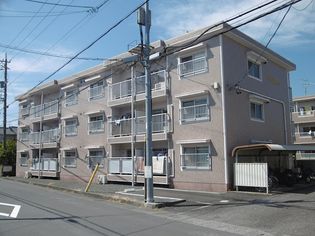トラストの画像