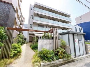 ブランシェトワの画像