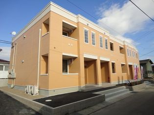 オレンジコートの画像