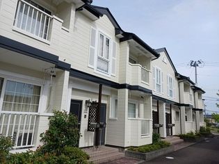 フォレスト・グリーンの画像