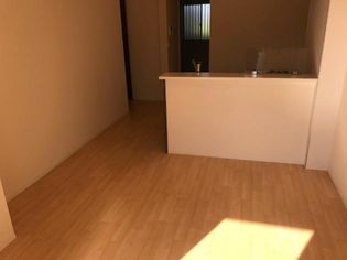 グレイスリーの画像