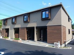 ガジュマルの画像