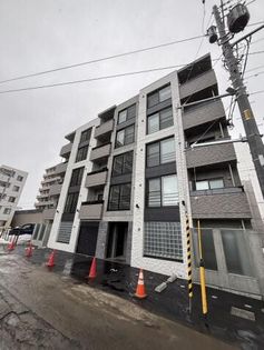 Gato assorti(ガトーアソルティ)の画像