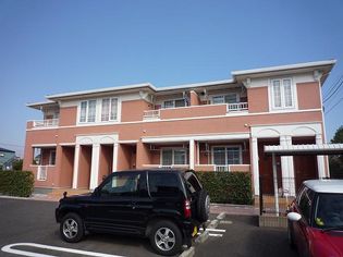 ウィッシュの画像