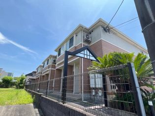 スイートアリッサムの画像