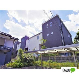 ゲラン陽明の画像