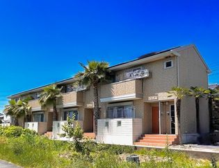 Sunset Gardenの画像