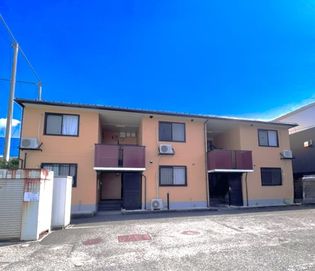 プラムコートBの画像