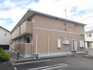 アイリスの画像