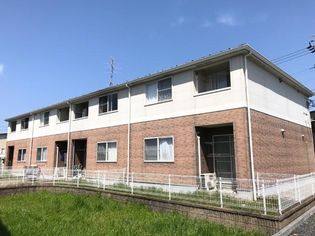 フォーリーフ クローバーの画像