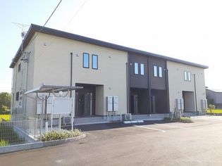 サンシャイン ワンの画像