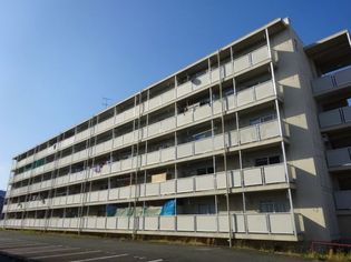 福岡県福岡市南区桧原5丁目の賃貸マンションの画像