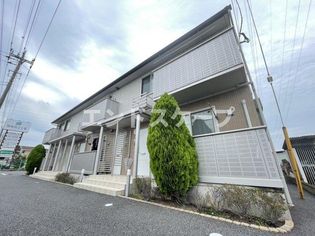 キャッツアイ Aの画像